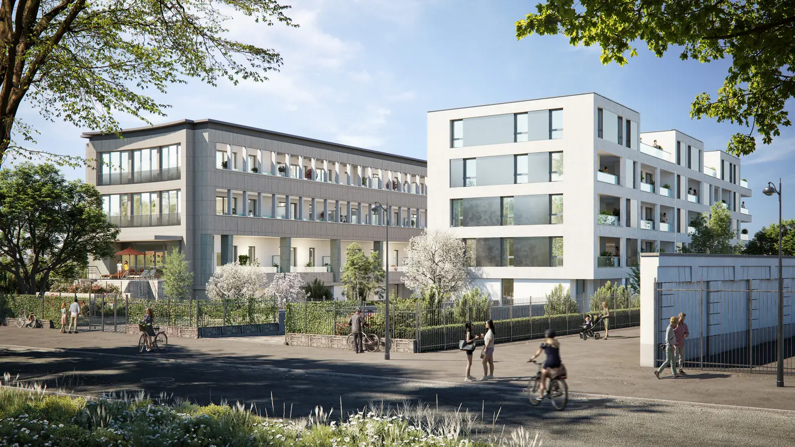 41 Marne — visuel 4