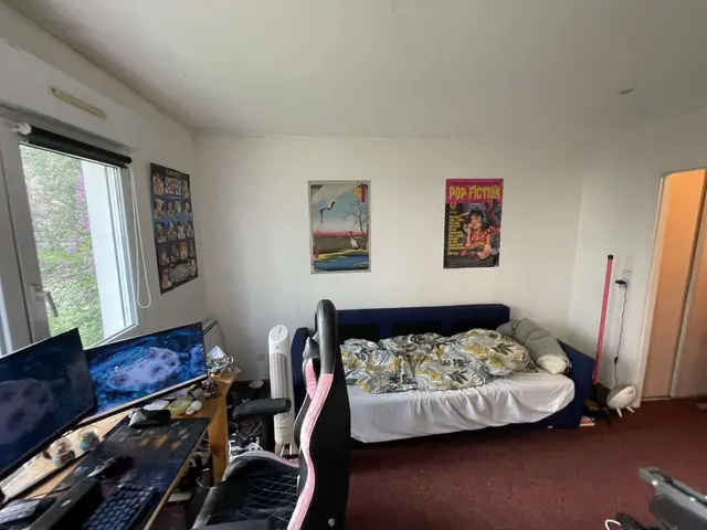 42 Rue du Faubourg de Saverne, visuel 3