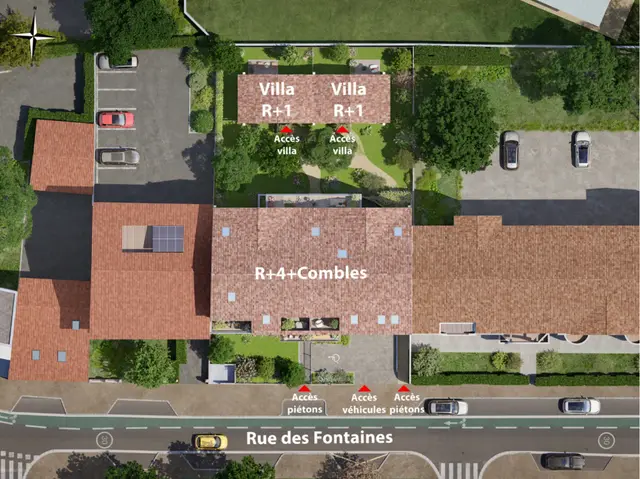 Aiga Viva, visuel 2