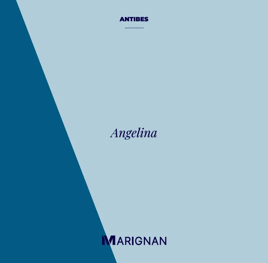 Angelina — visuel 7