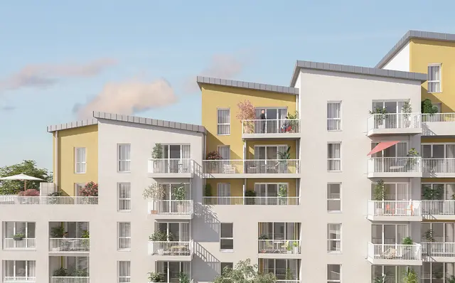 Arbor&Sens, visuel 1