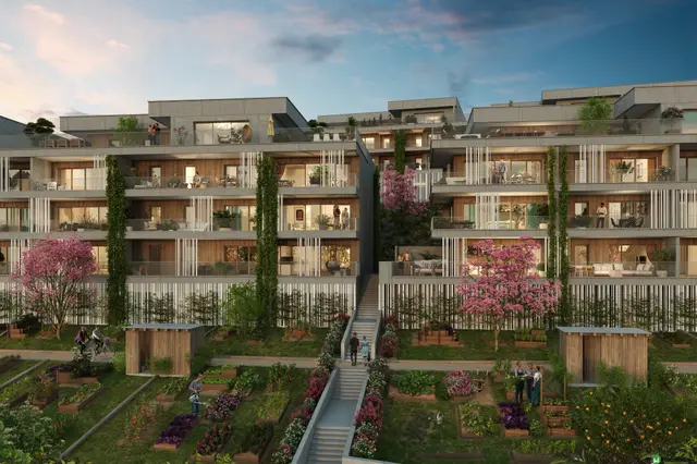 ARBOR&SENS, visuel 2
