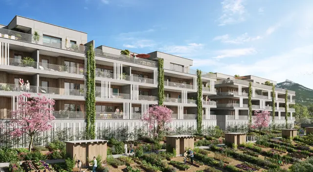 ARBOR&SENS, visuel 1