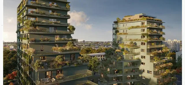 Arche Vive — visuel