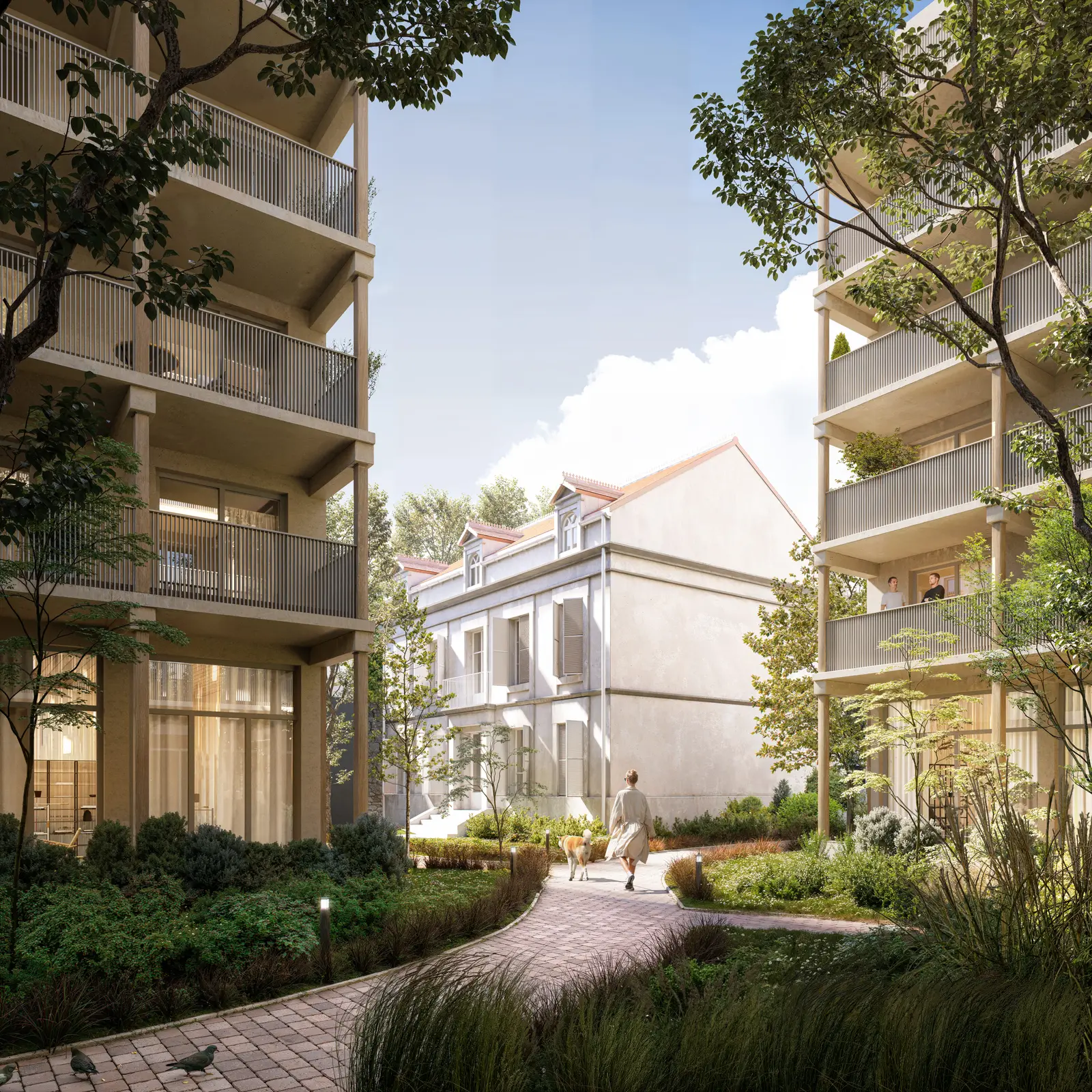 Argenteuil Laugier — visuel 5