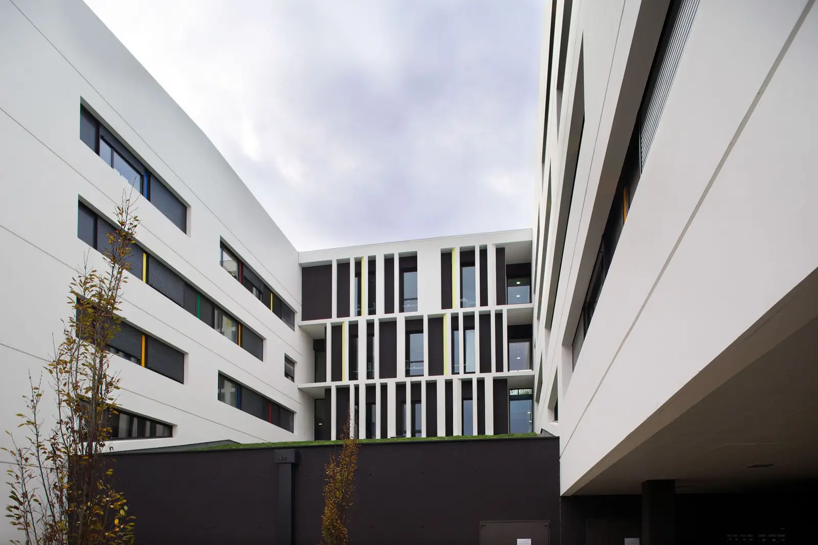 Artémisia - Toulouse Auzeville — visuel 3