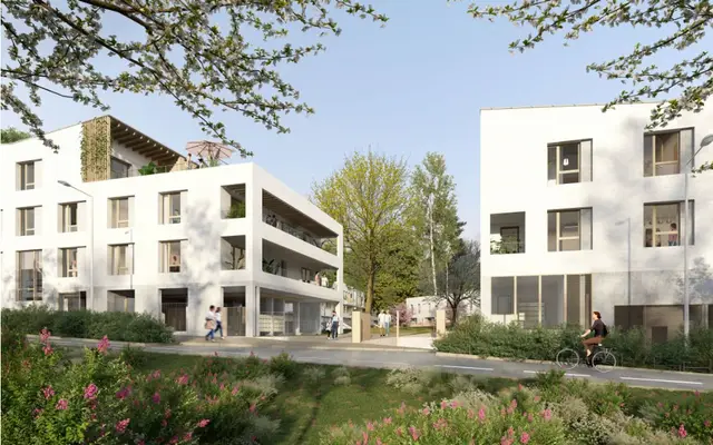 BELVEDERE, visuel 1