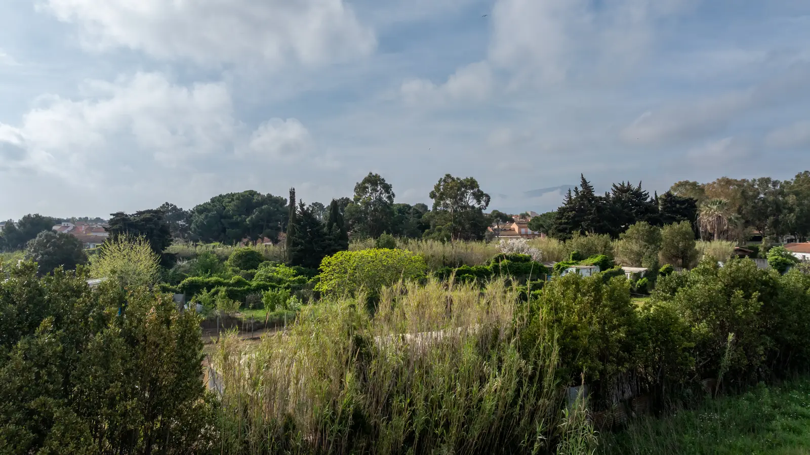 BLUE GARDEN — visuel 5