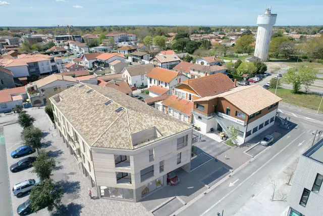 Boïos, visuel 2