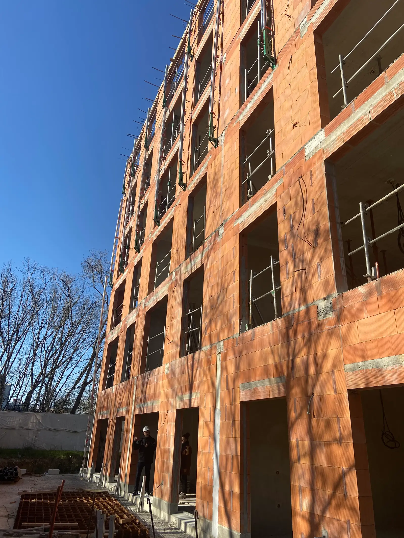 BOIS DE NAGOYA — visuel 27