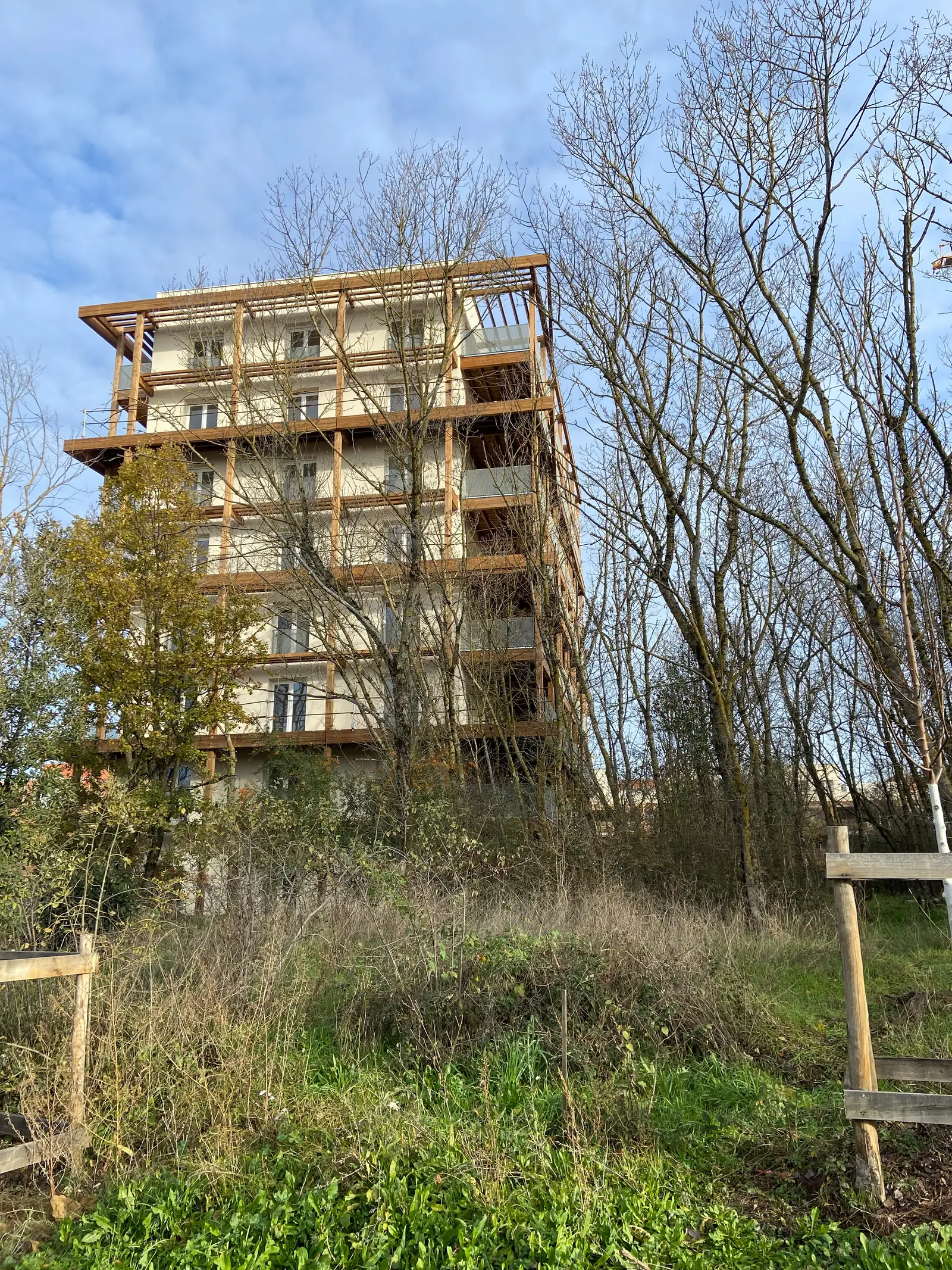 BOIS DE NAGOYA — visuel 53
