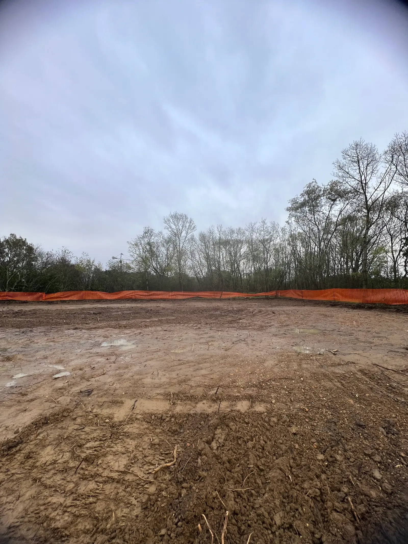 BOIS DE NAGOYA — visuel 17