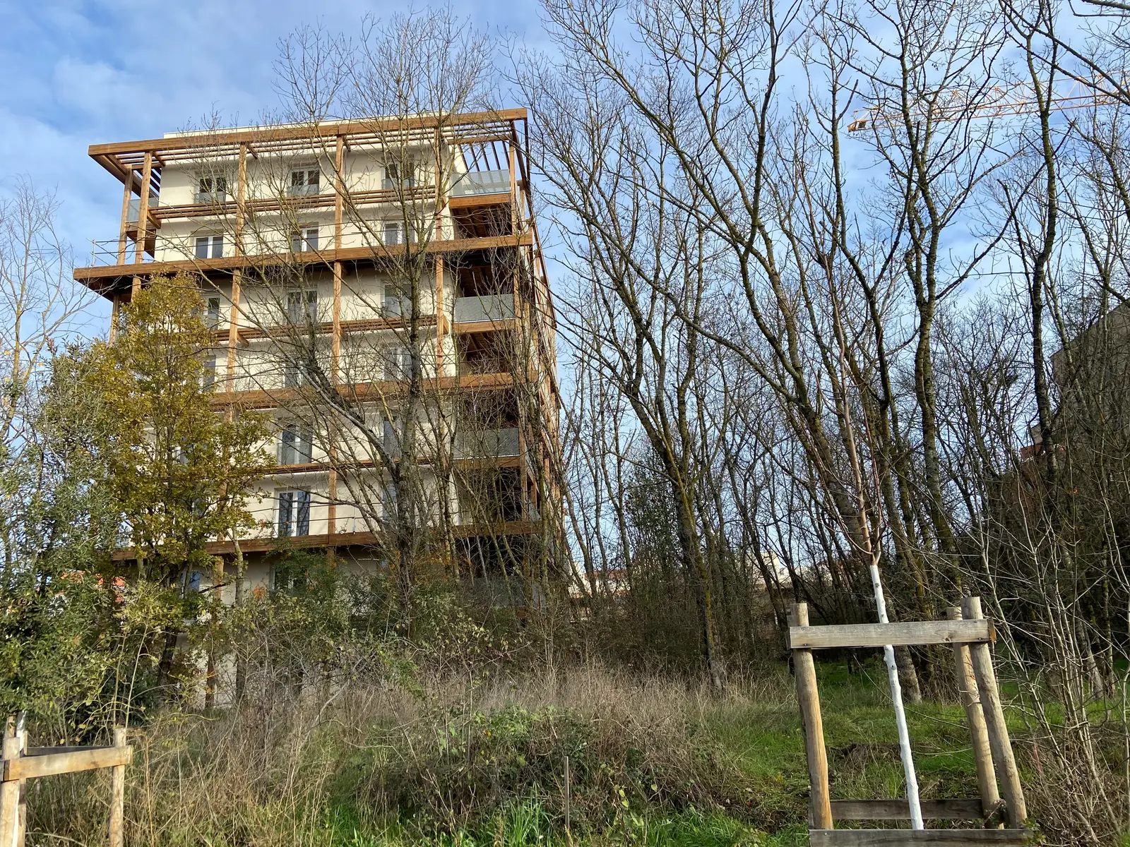 BOIS DE NAGOYA — visuel 52