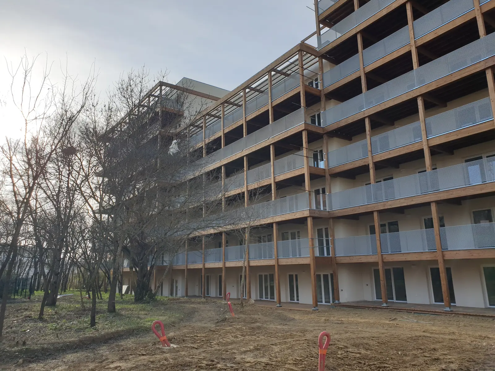BOIS DE NAGOYA — visuel 47