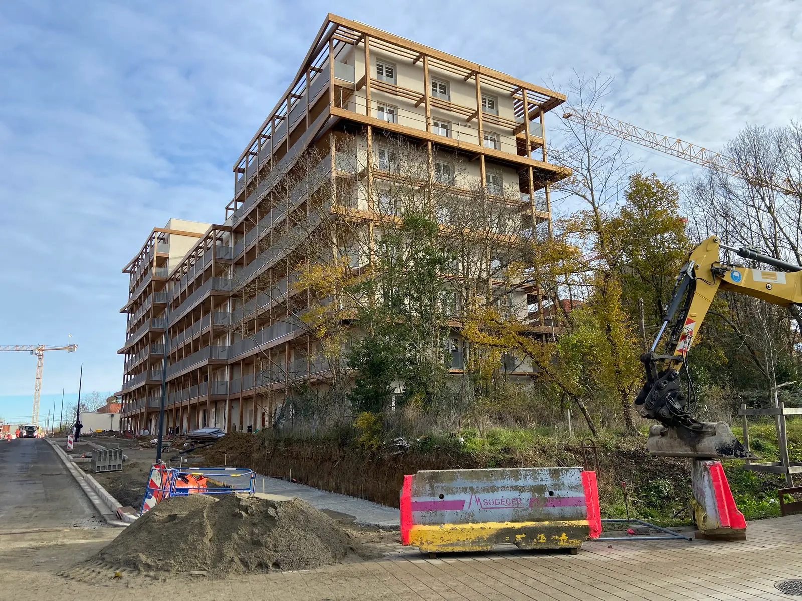 BOIS DE NAGOYA — visuel 51