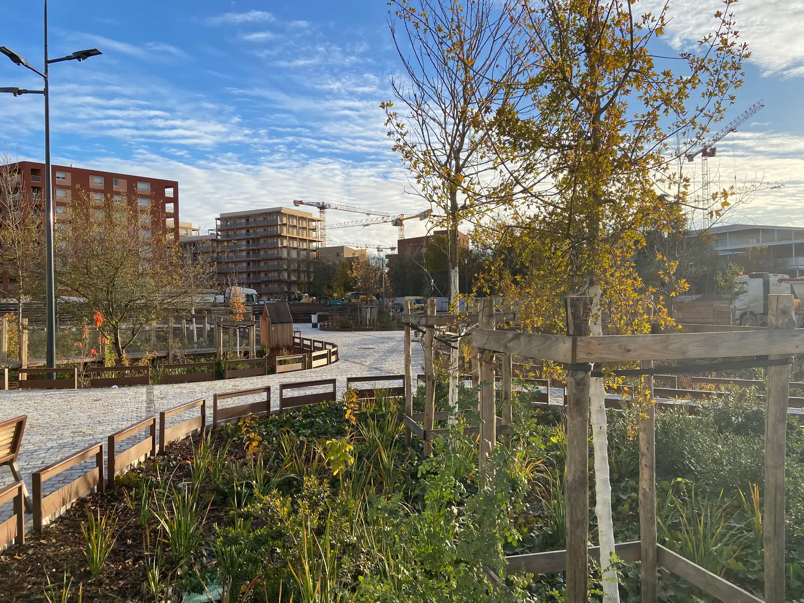 BOIS DE NAGOYA — visuel 49