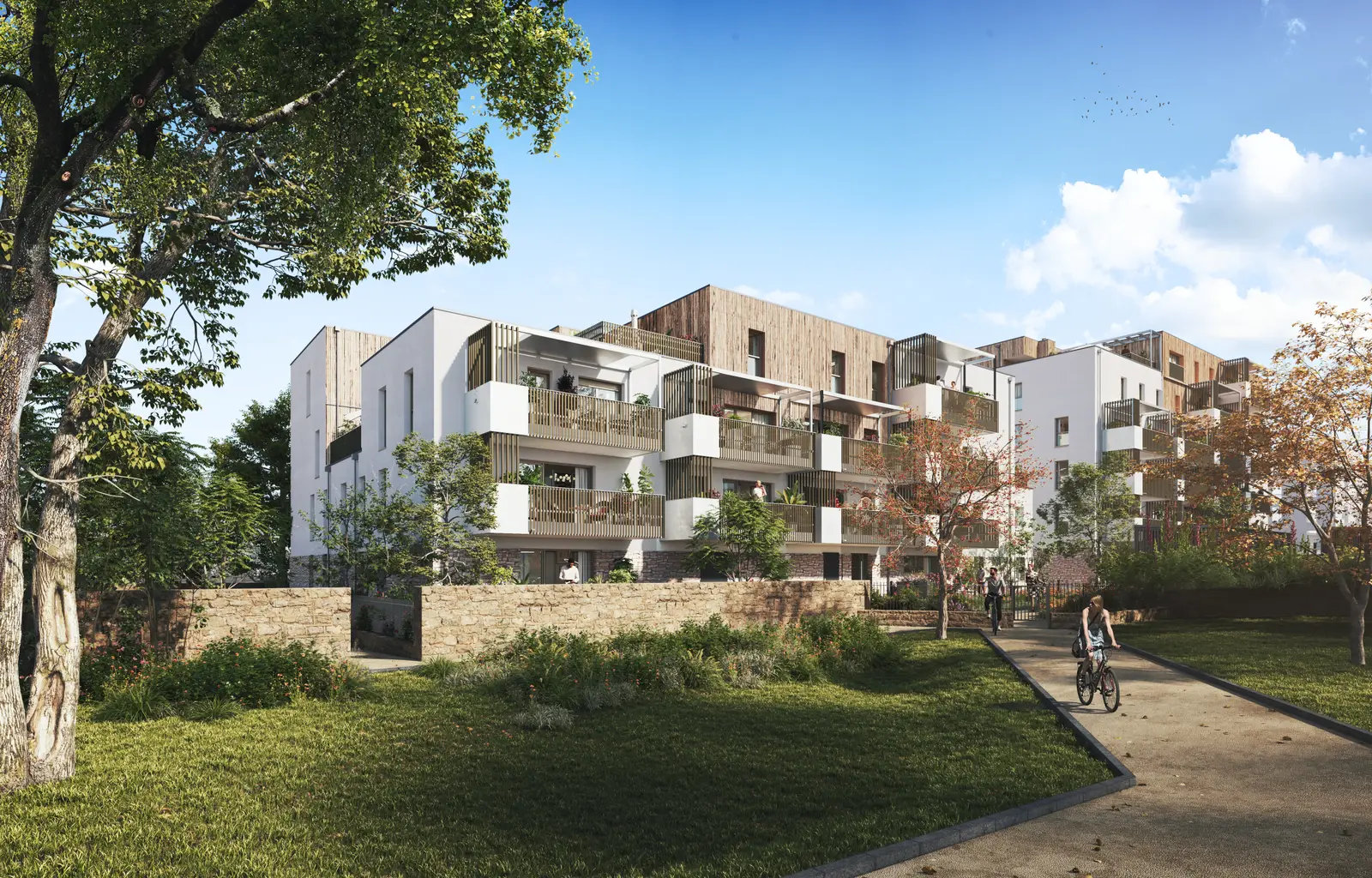 BOSCO — visuel