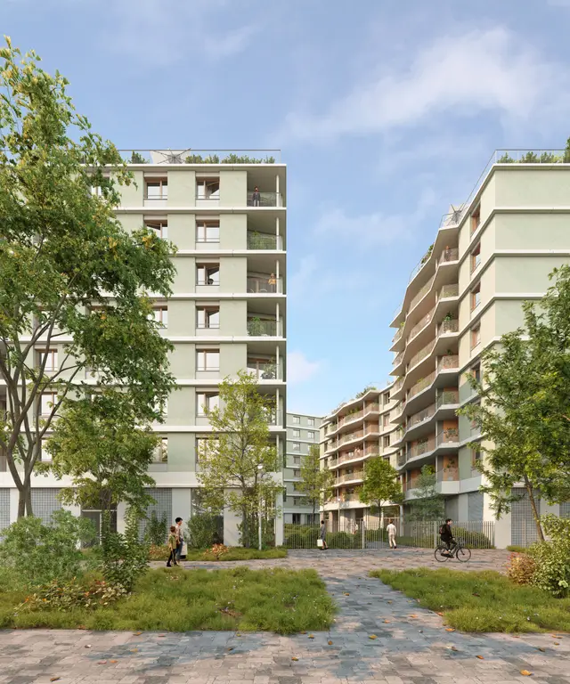 BOTANY, visuel 3