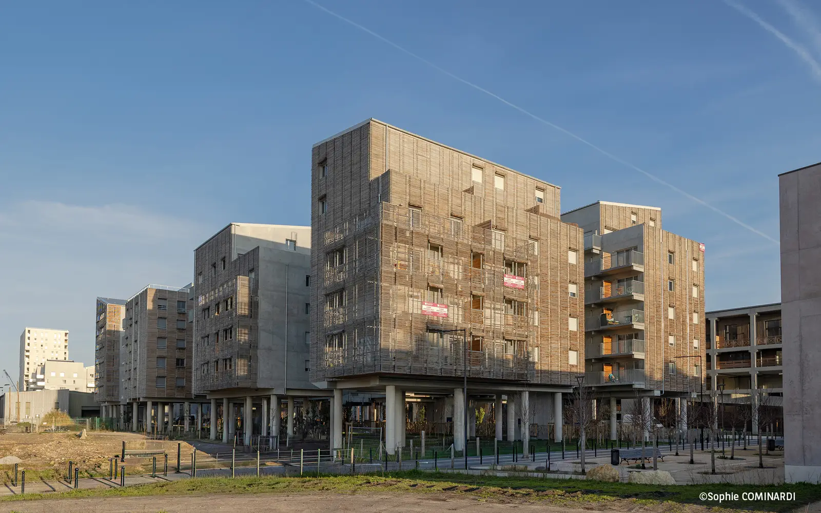 Brazza Lib — visuel 8