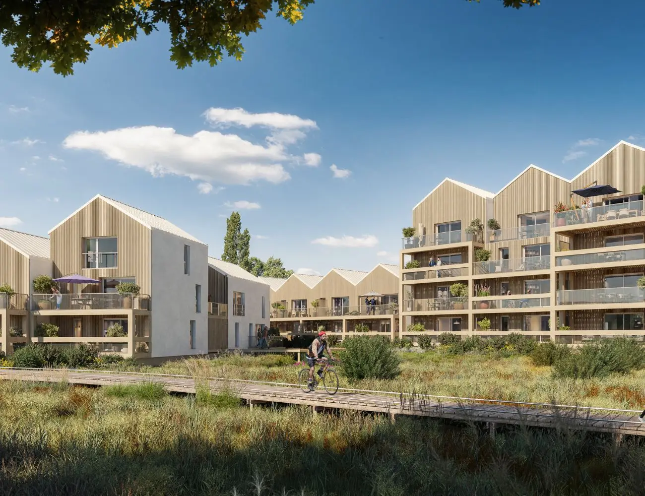 CAP VERT — visuel