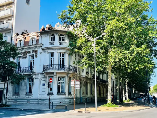 Centre Ville Perpignan -BD Wilson, visuel 1