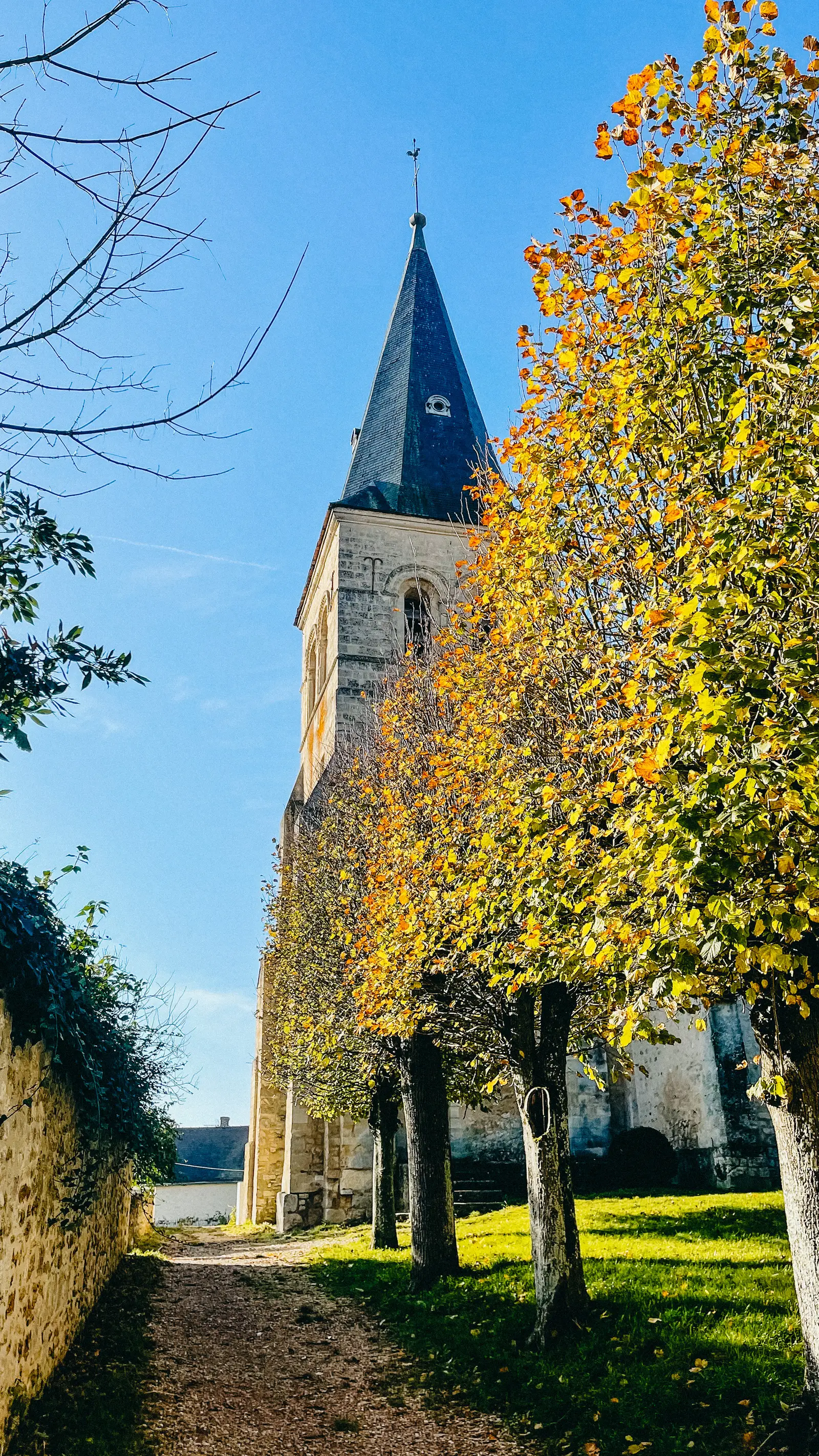 CHATEAU DE SAUTOUR à Crespières — vue du programme neuf