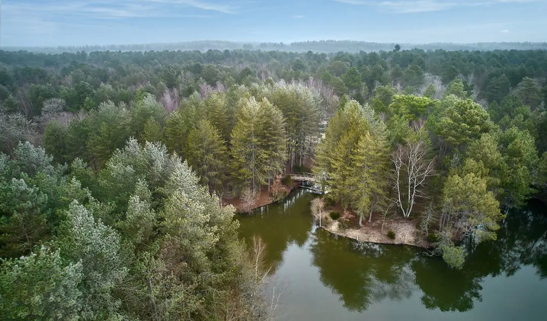 Programme neuf à Chaumont-sur-Tharonne — visuel 2
