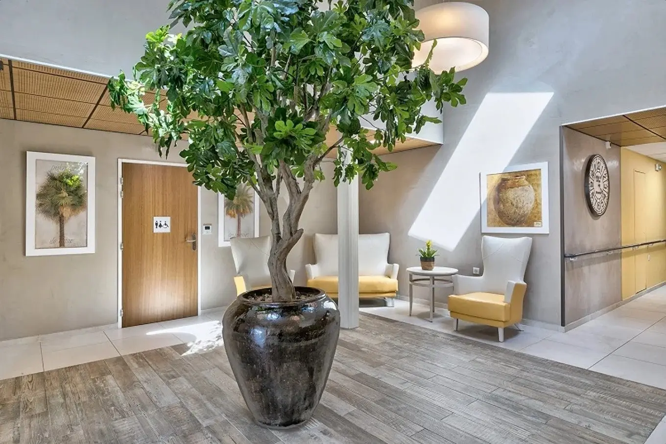 Colisee Residence Olympe — visuel 5