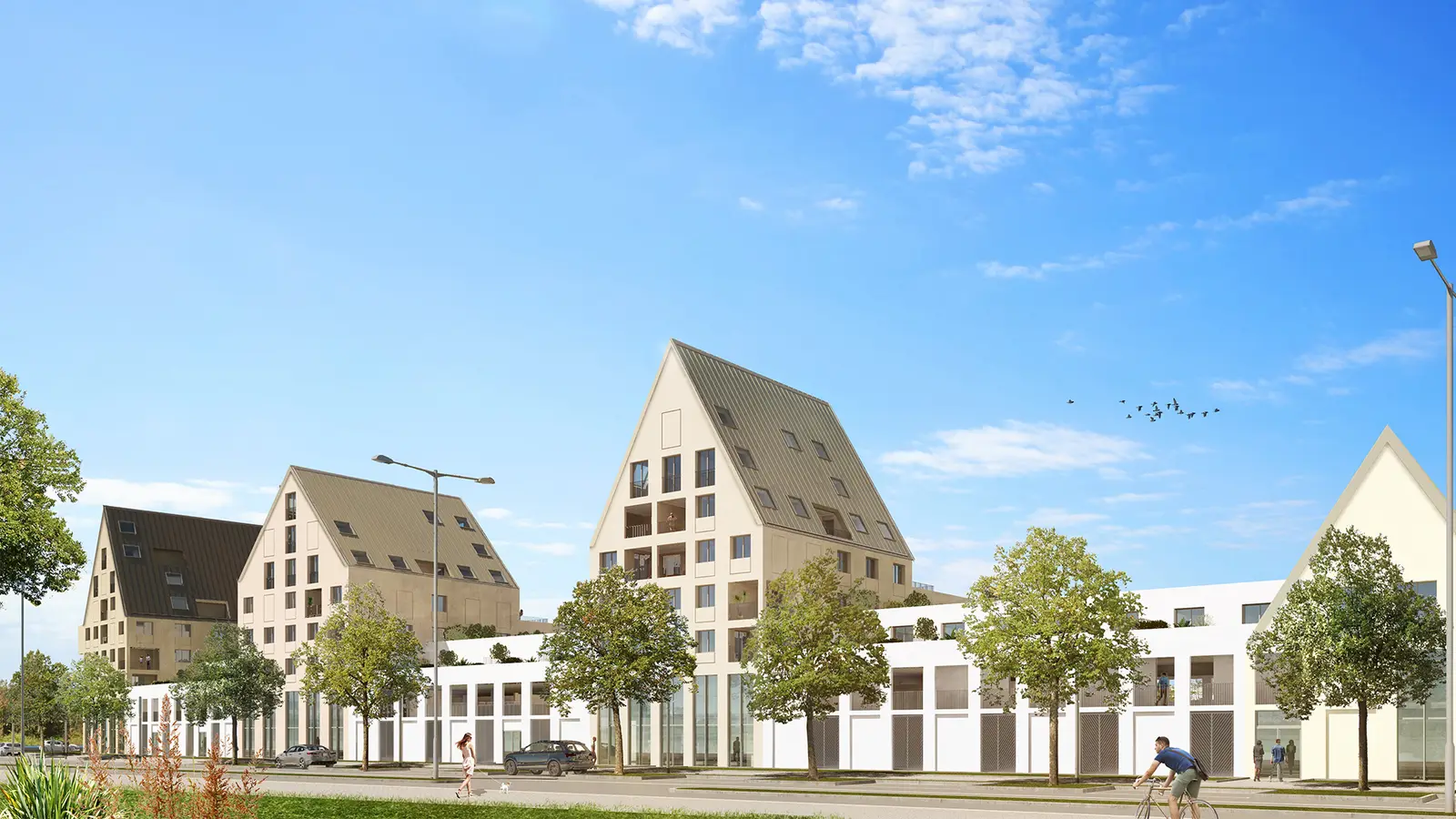 DIJON - BILOBA BAT D — visuel 9