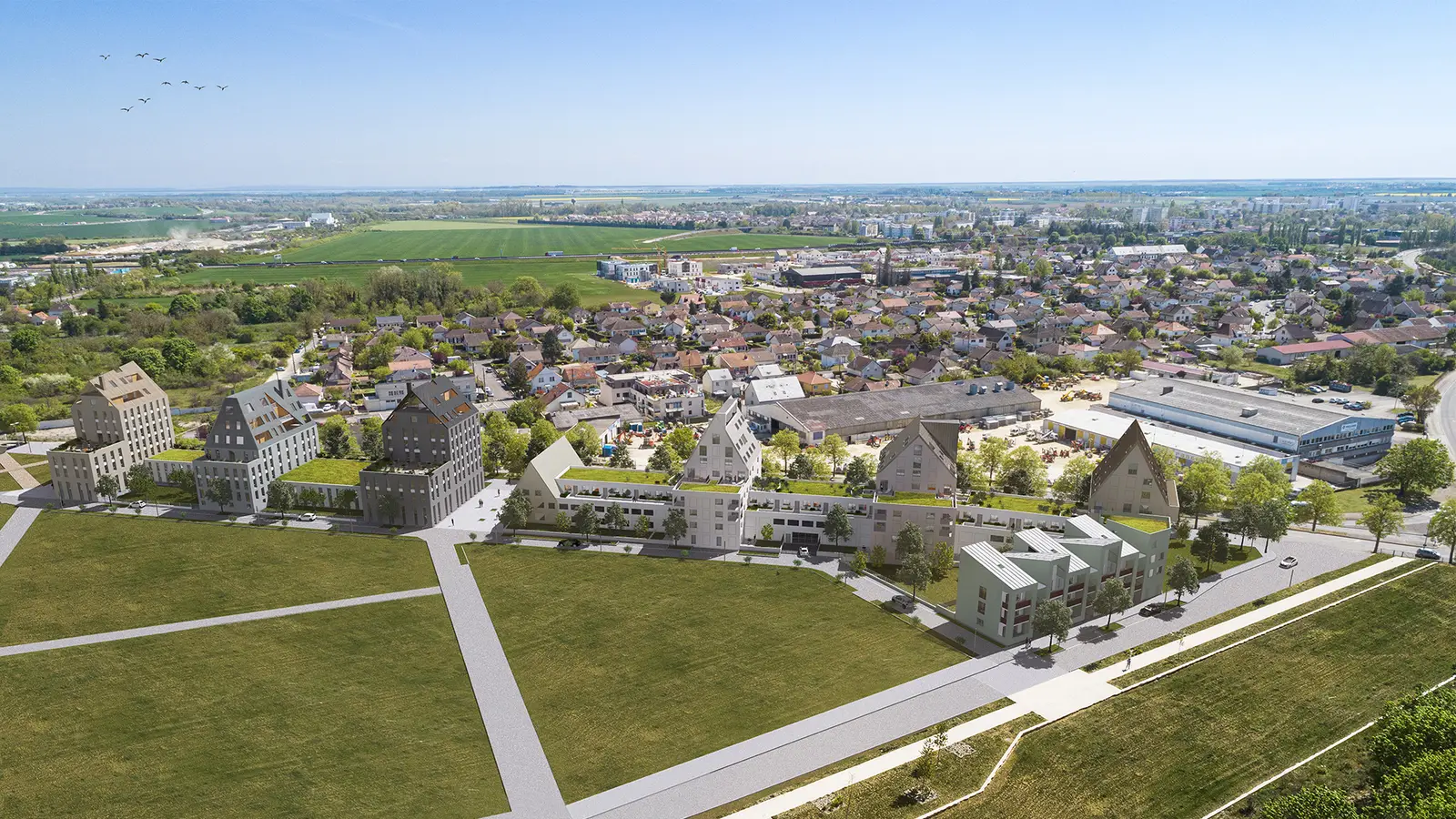 DIJON - BILOBA BAT D — visuel 8