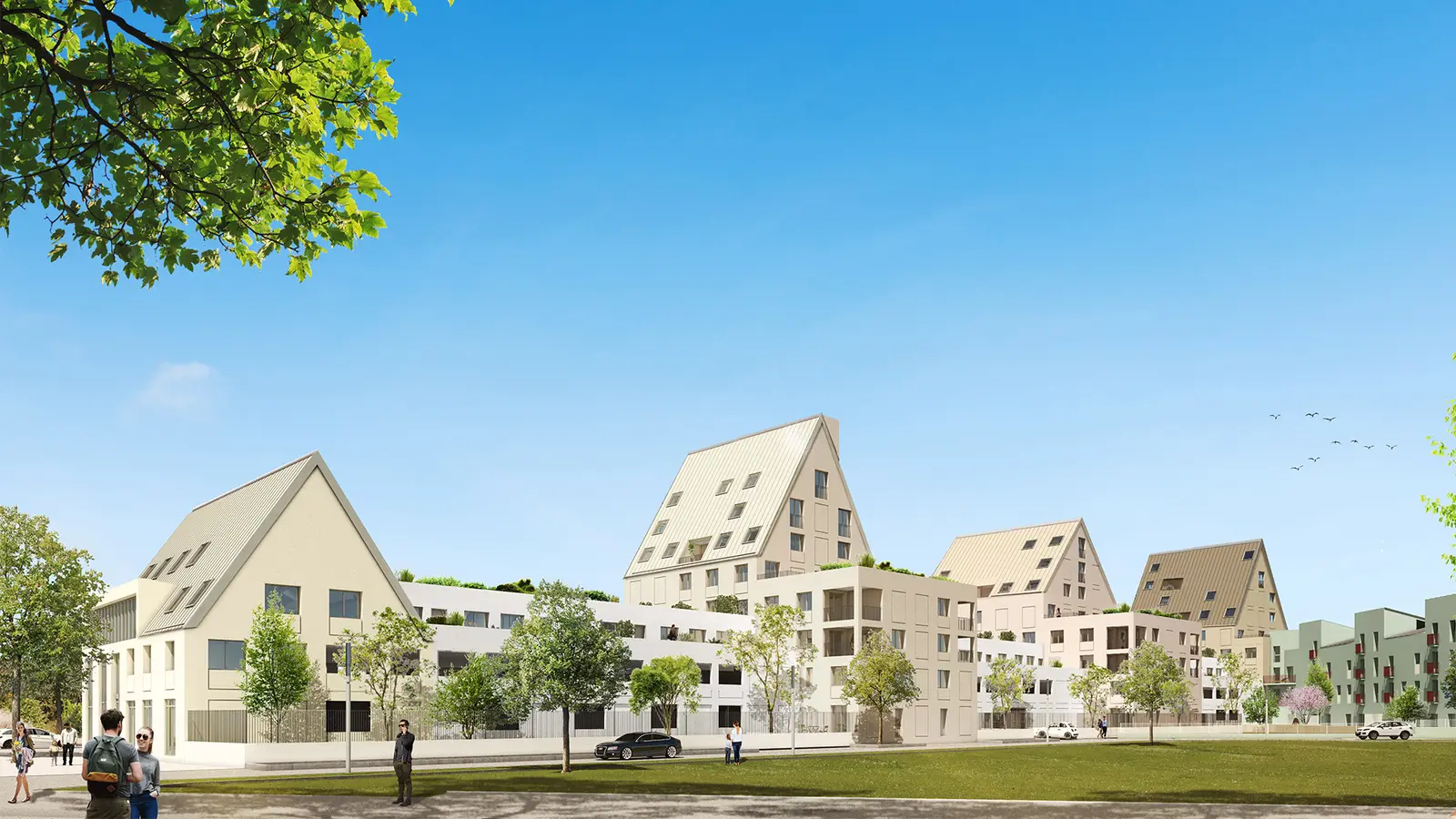 DIJON - BILOBA BAT D — visuel 2