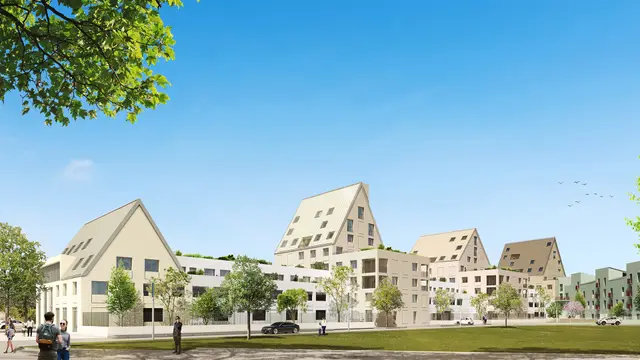 Biloba Bat d, visuel 2