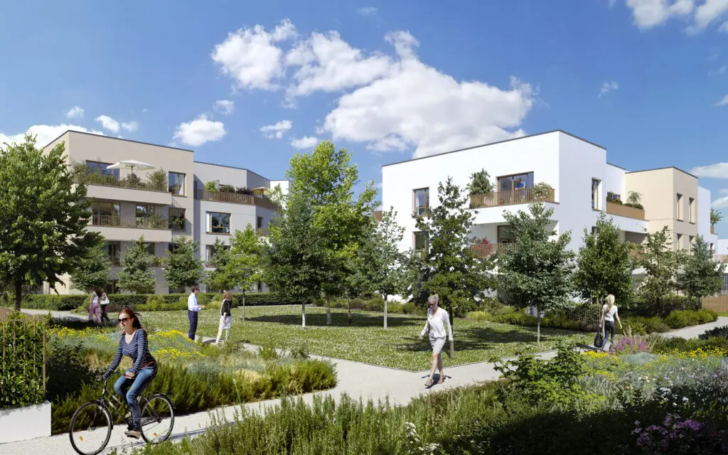 DOMAINE DES LYS — visuel