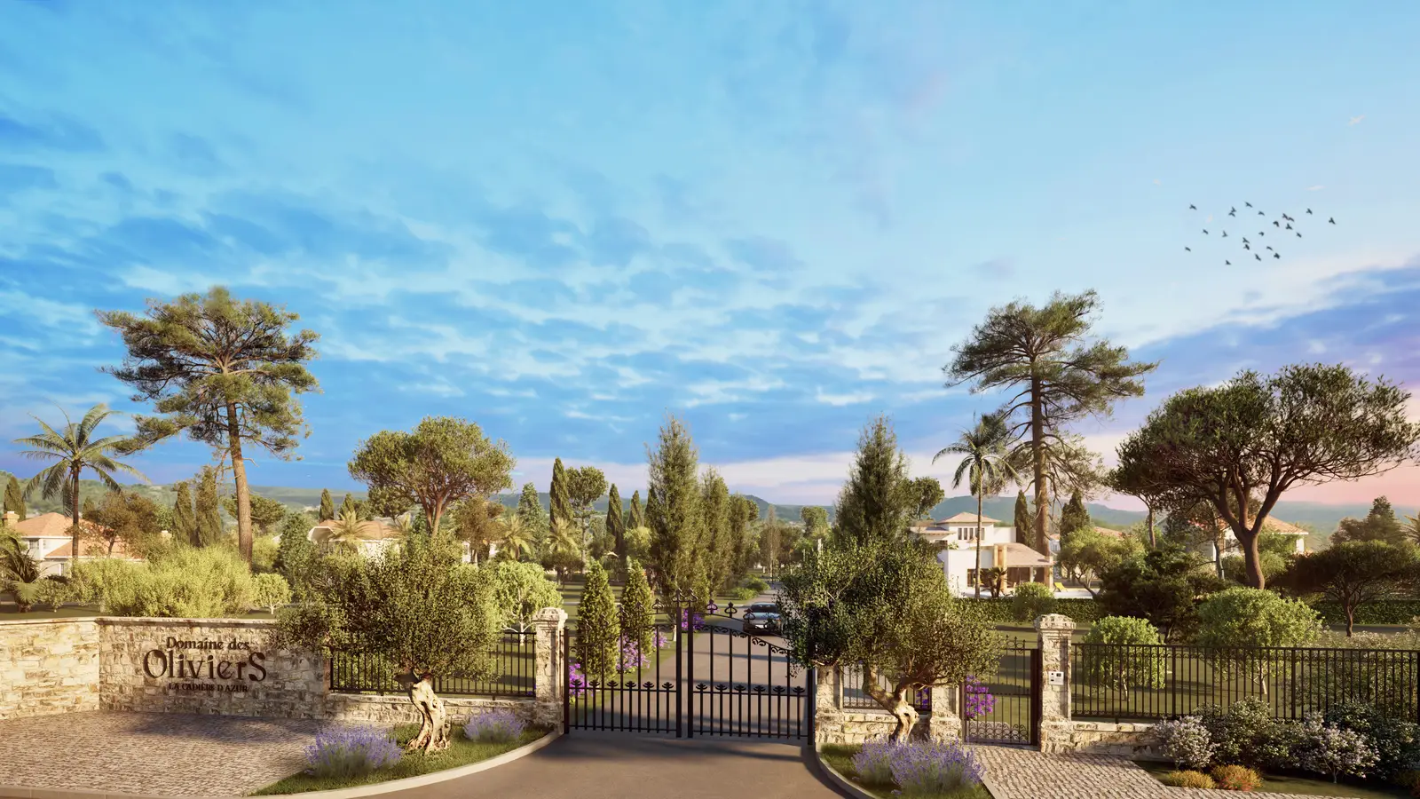 DOMAINE DES OLIVIERS — visuel