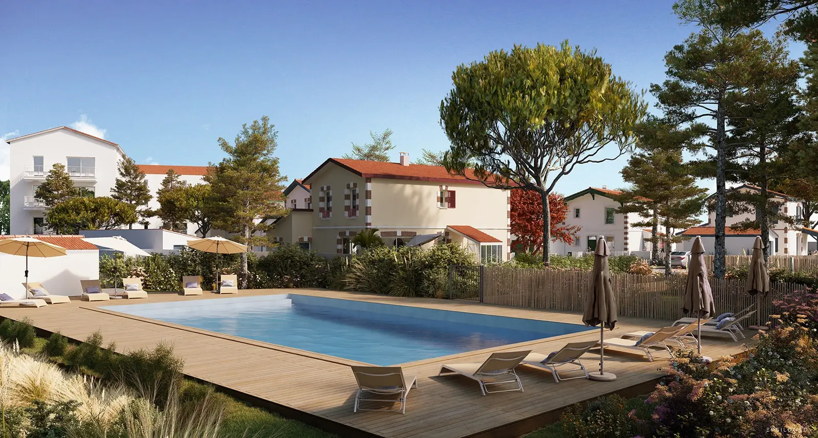 DOMAINE SOLEIL LEVANT — visuel 4