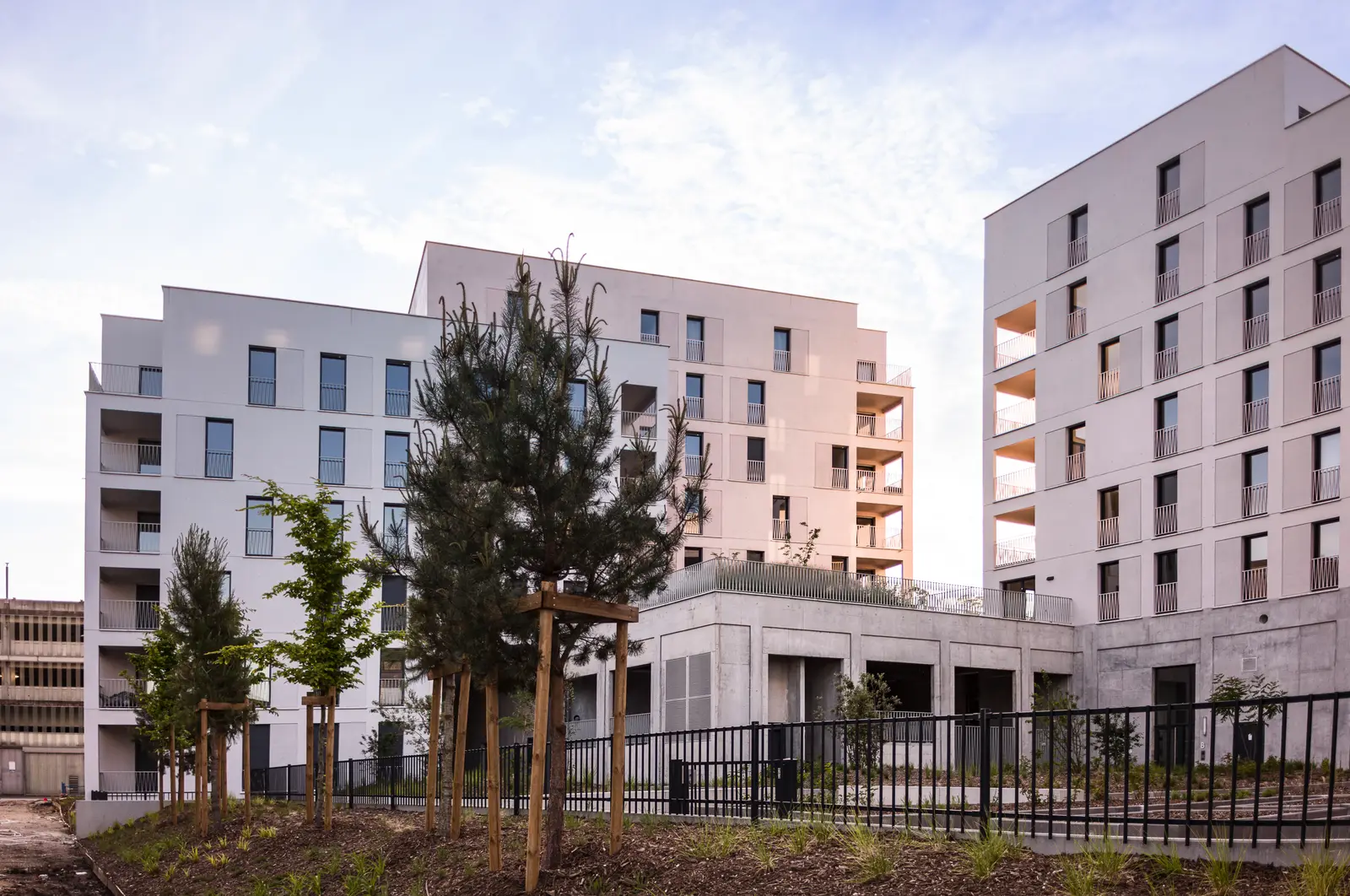 EDONIA B1 — visuel