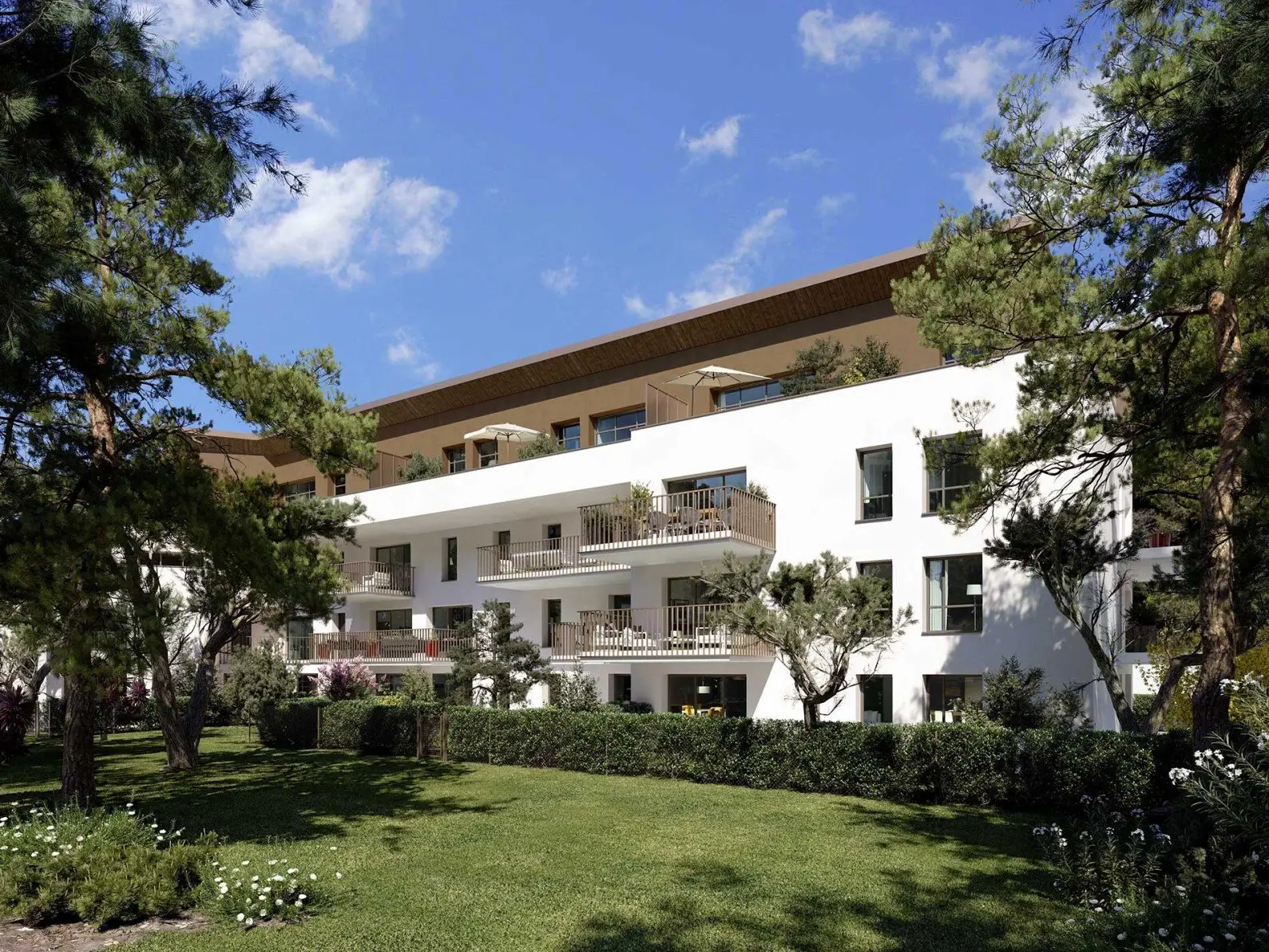 Esprit Sainte-Anne — visuel