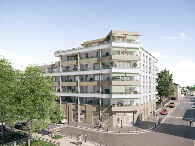 ESTRELLA, visuel 3