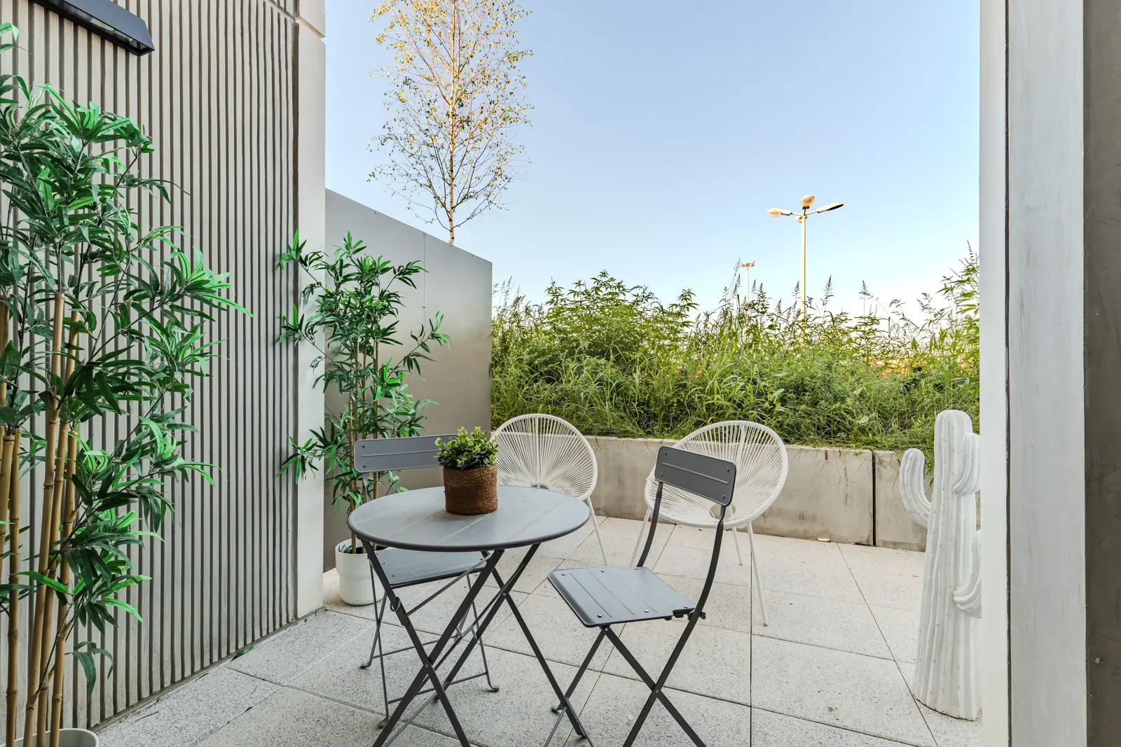 EUPHORBIA — visuel 2