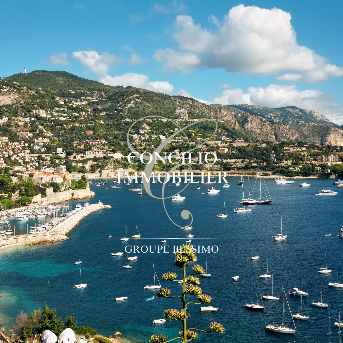 FRENCH RIVIERA - NICE - ASL — visuel 7