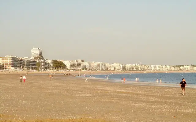 Golden Tulip, visuel 1