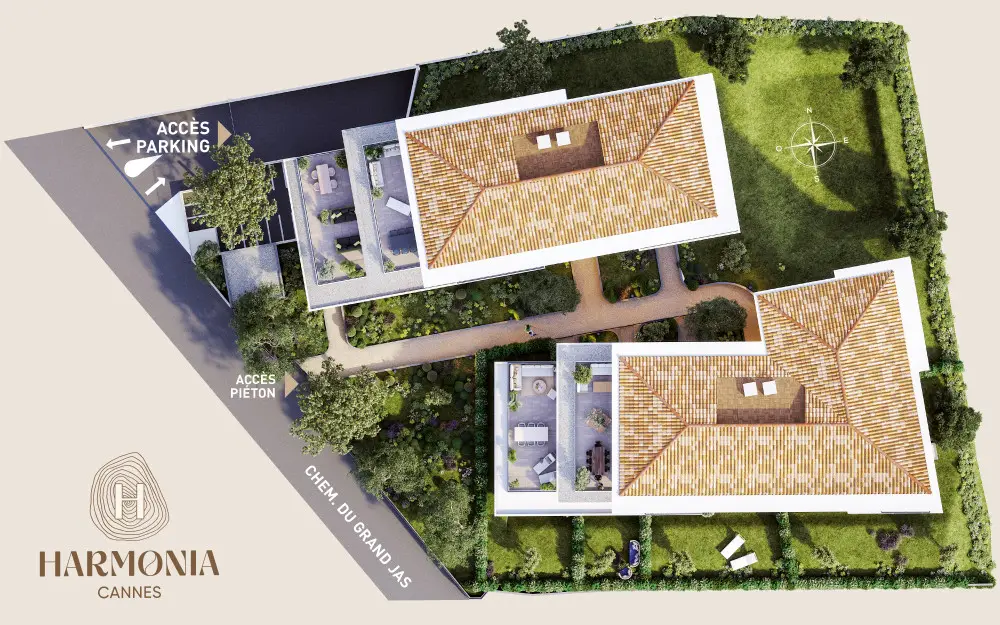 Harmonia — visuel 5