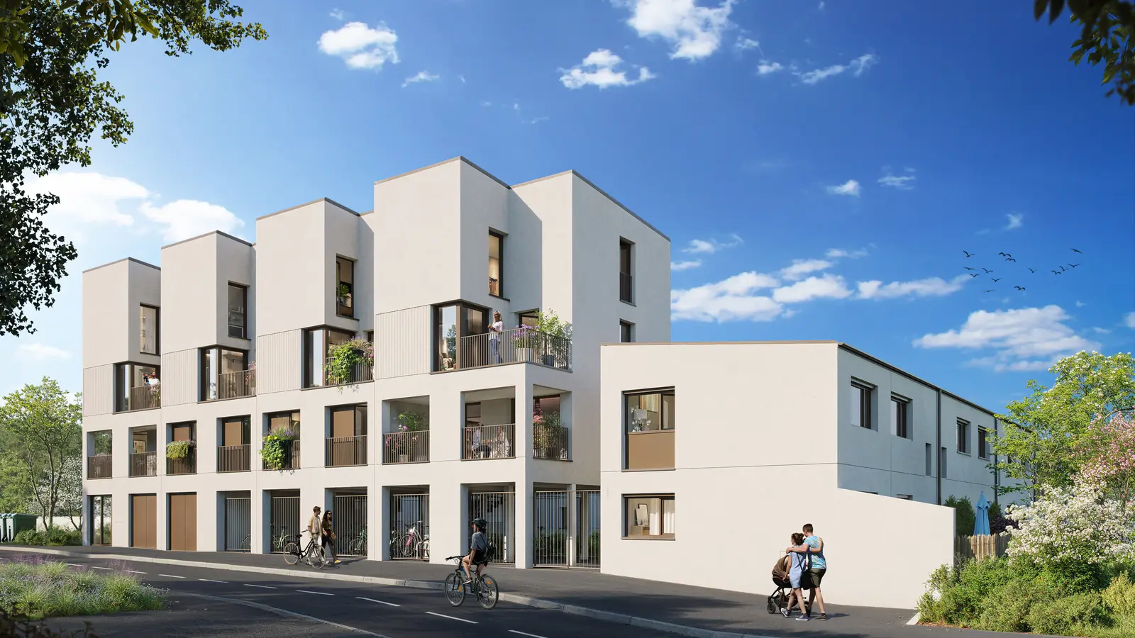 HEDERA — visuel 2