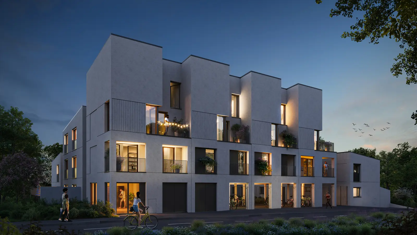 HEDERA — visuel 3