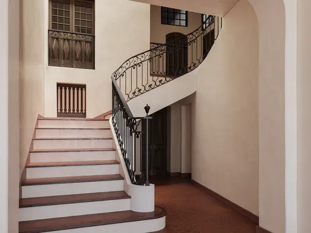 Hôtel de Gassaud, visuel 3