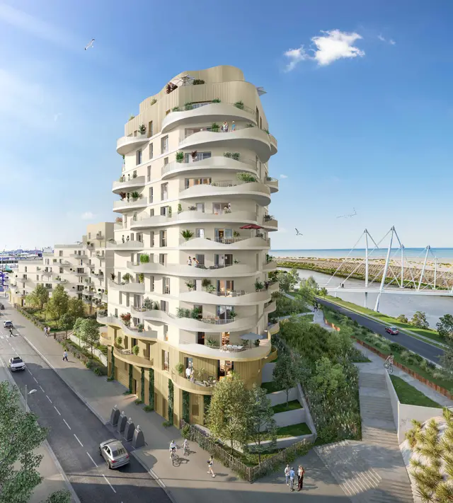 Hoya, visuel 2