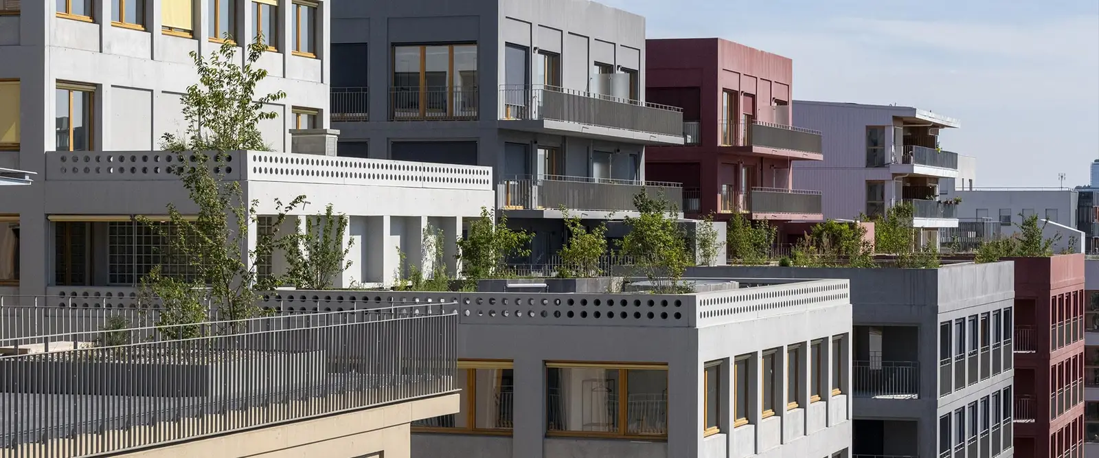 ILE EN SEINE - PA8 - LES BERGES à L'Île-Saint-Denis — vue du programme neuf