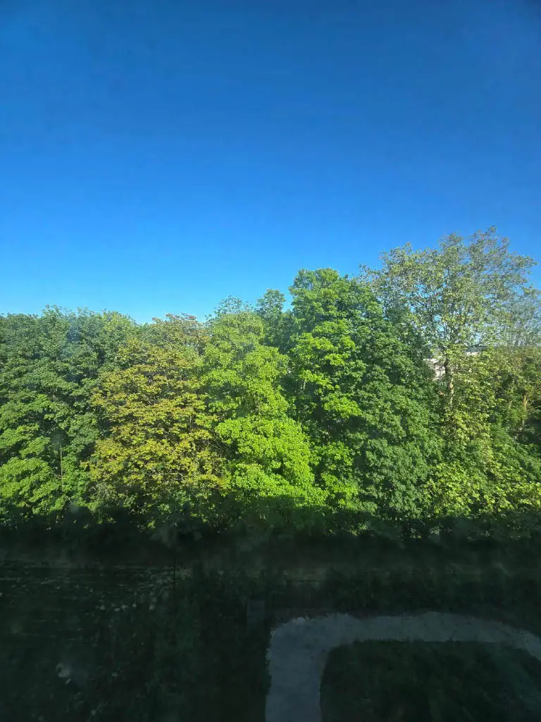 Institut de Readaptation de Meaux - SMR — visuel 9