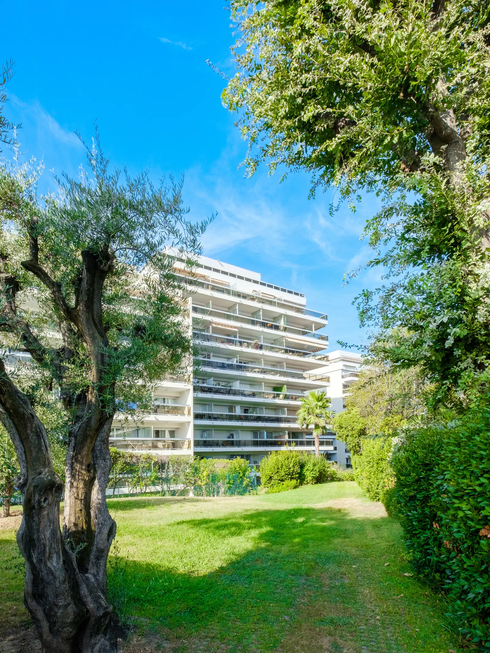 Juan-Les-Pins - La Rostagne — visuel 3
