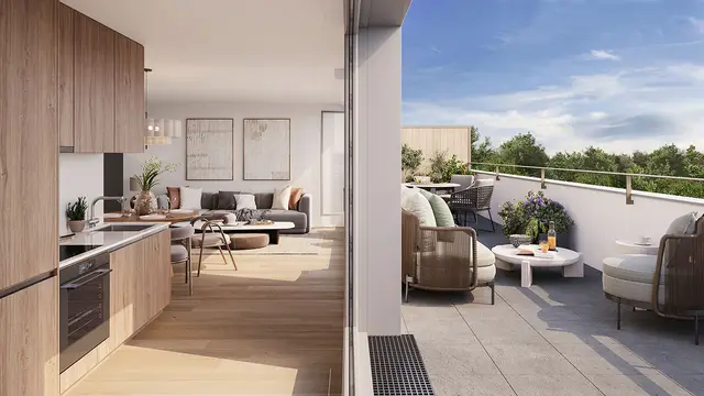 KOYA 2, visuel 3